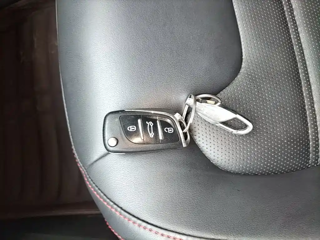 Dongfeng Fengxing Fengxing SX6 2020 2019 1.6L Manual Luxury China VI