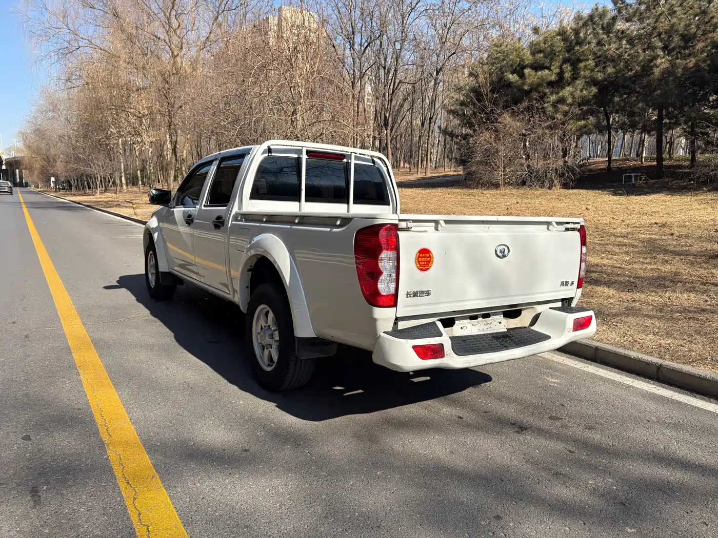 GREAT WALL FENGJUN 5