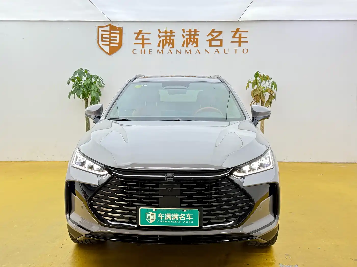 2026 BYD Tang New Energy
