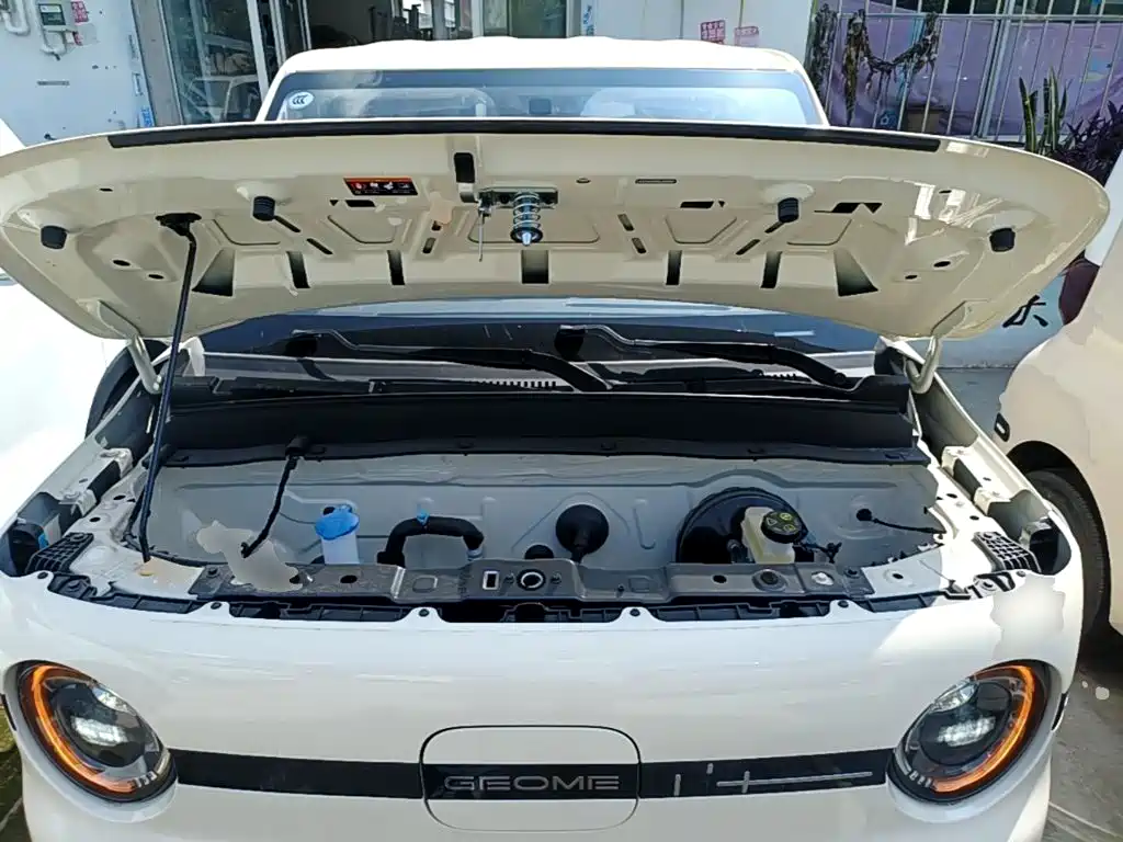 Geely Galaxy Panda 2026 2025 Panda mini 210km Vitality Bear