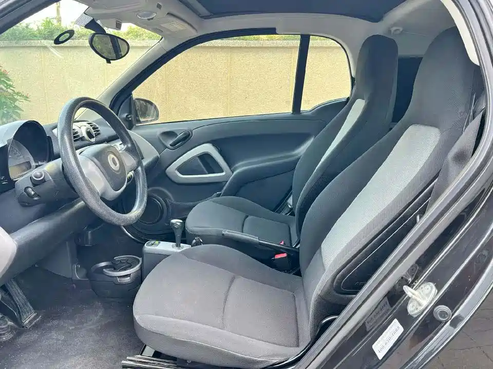 smart fortwo 2013 2013 1.0T Hardtop Ice Special Edition