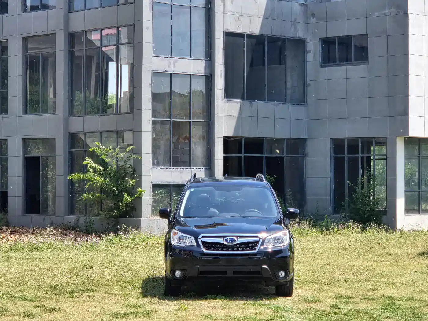 Subaru Forester 2014 2.5i Automatic Elite Edition фото 2