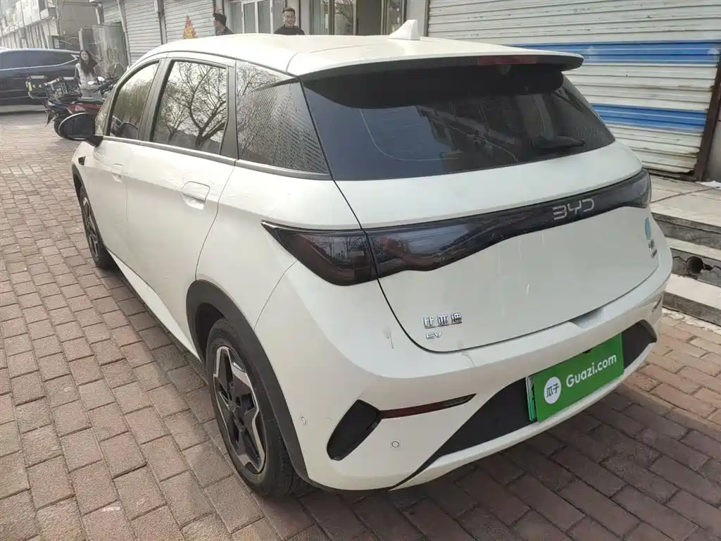 BYD Dolphin 2025 Smart Drive Edition 420km Freedom Version фото 5