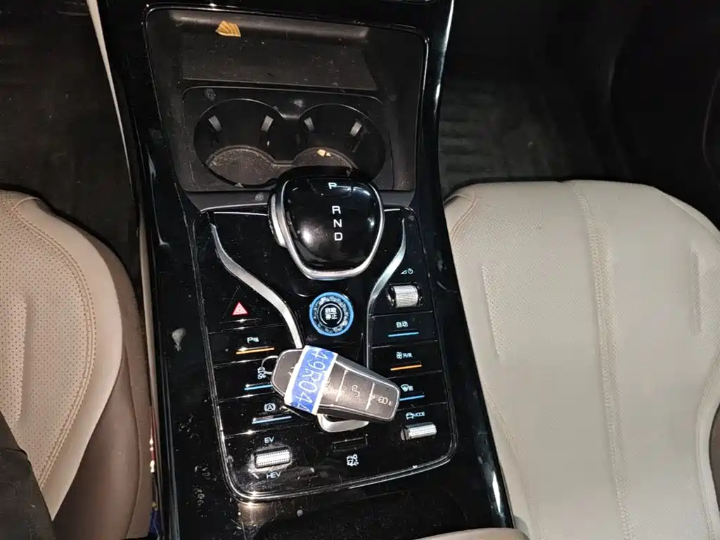 BYD Qin PLUS 2024 Glory Edition DM-i 55KM Leading фото 14