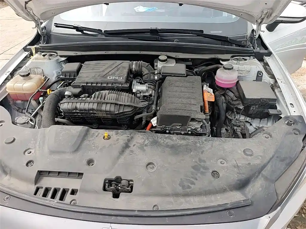 BYD Qin PLUS 2024 Glory Edition DM-i 55KM Leading фото 11