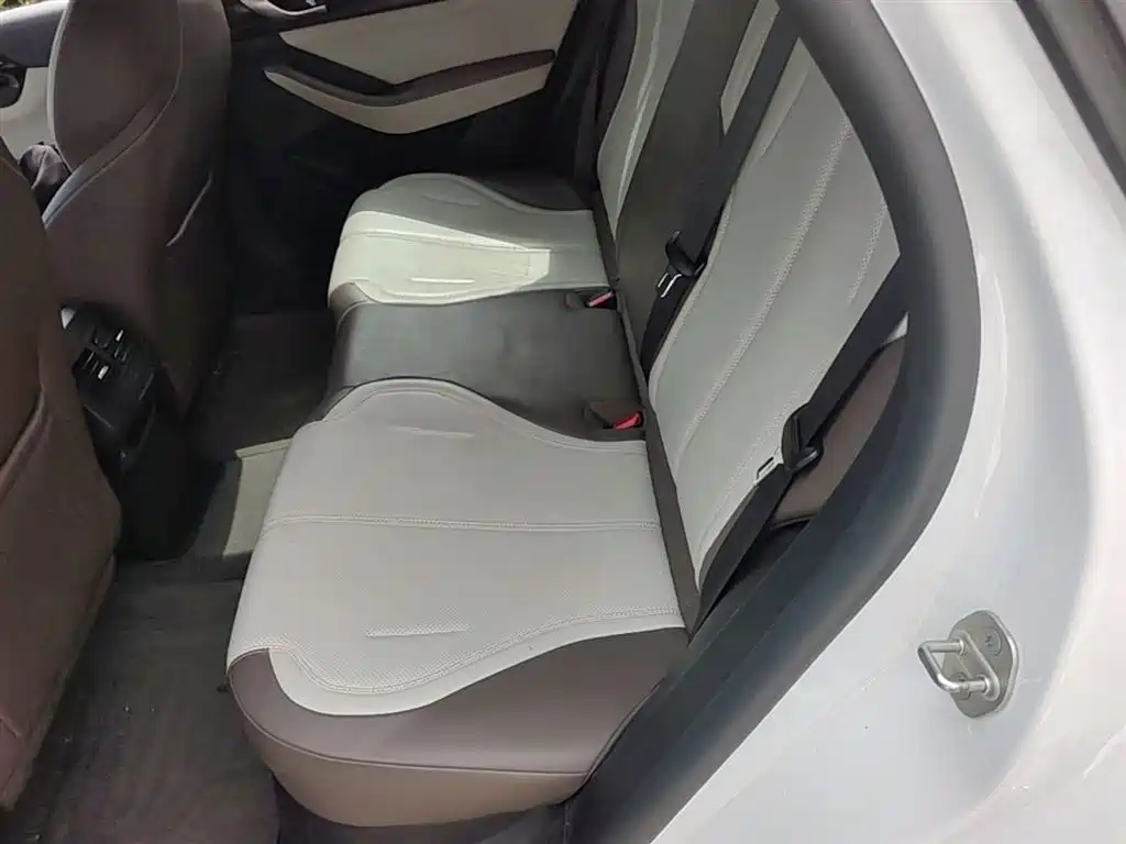 BYD Qin PLUS 2024 Glory Edition DM-i 55KM Leading фото 15