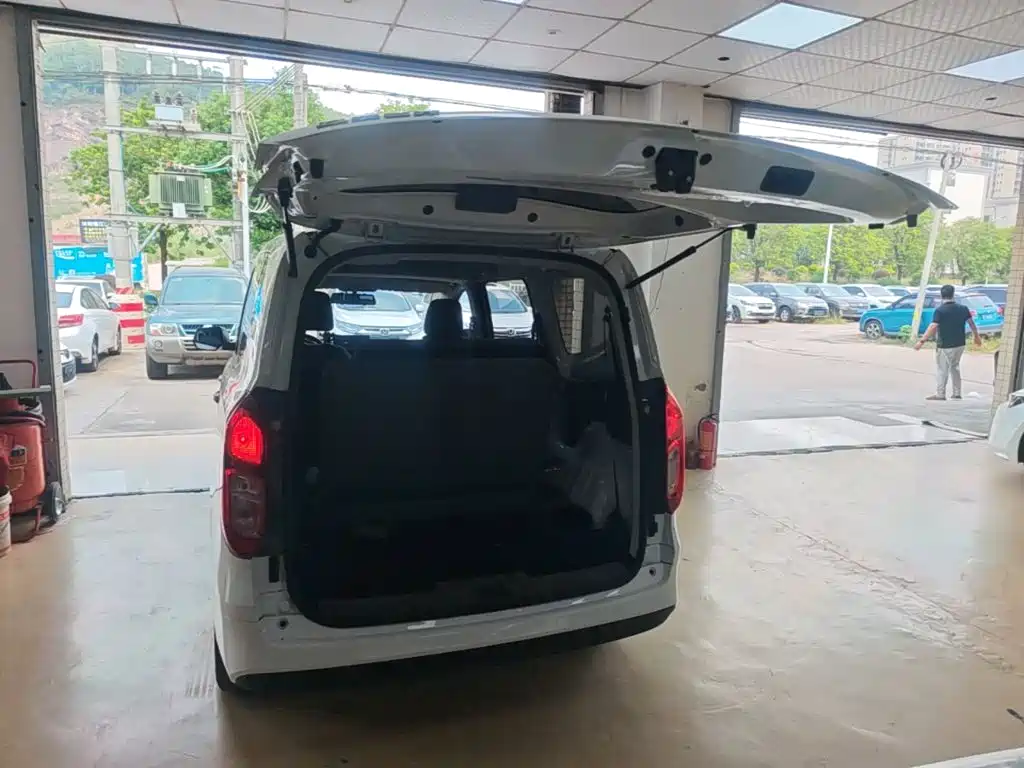 Wuling Motors Wuling Hongguang New Energy 2024 2024 Pure Electric 300KM Standard