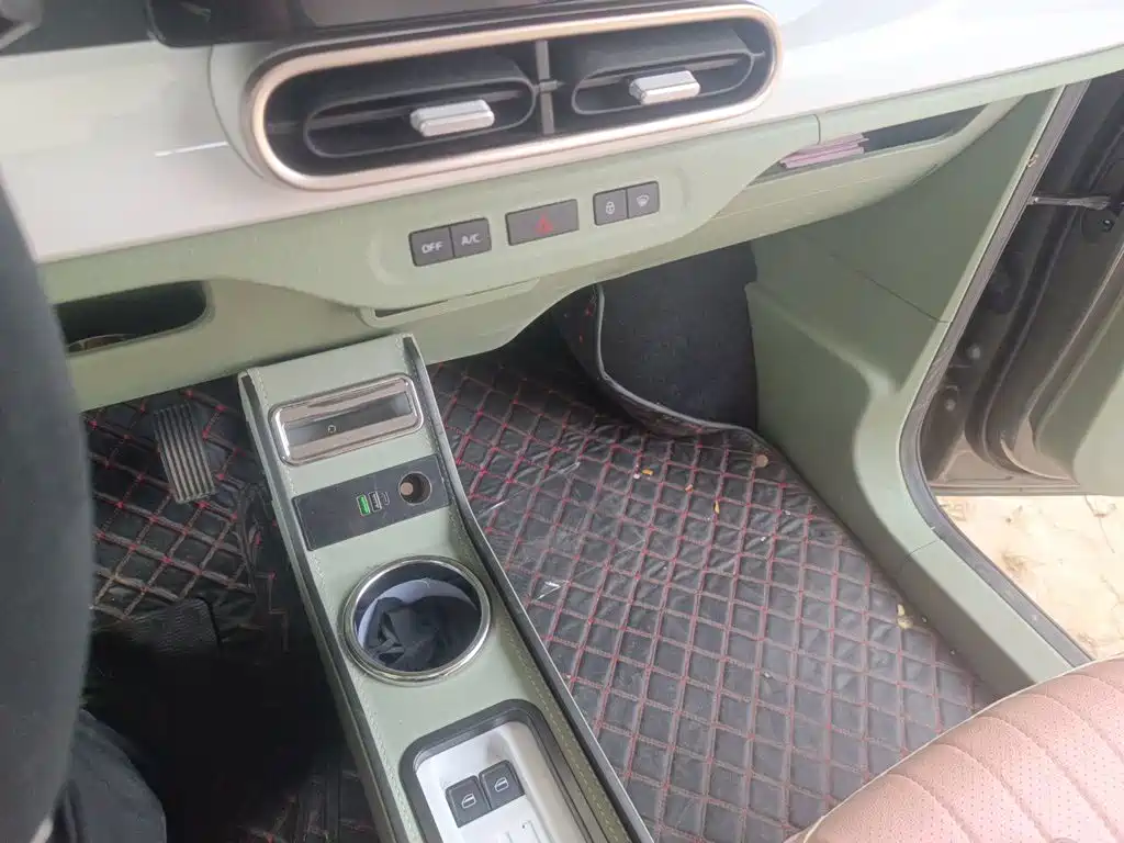Geely Galaxy Panda 2025 2025 Model Year 210km Panda Knight