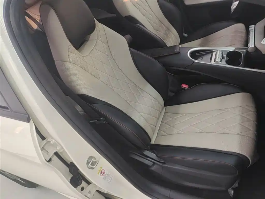 BYD Dolphin 2021 Model 405km Fashion Edition фото 20
