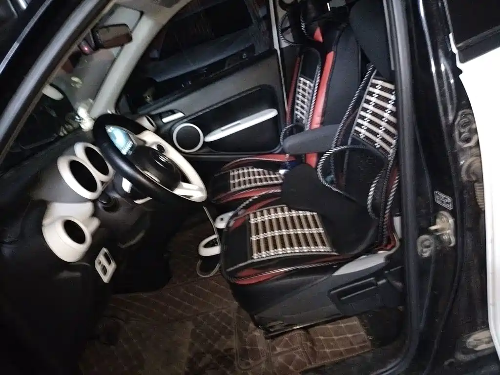 Ora Black Cat 2022 2022 Facelift 301km Pet Edition LFP Version