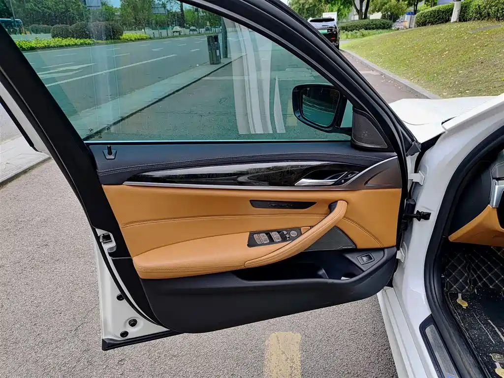 BMW 5 Series 2020 530Li Exclusive M Sport Package фото 6