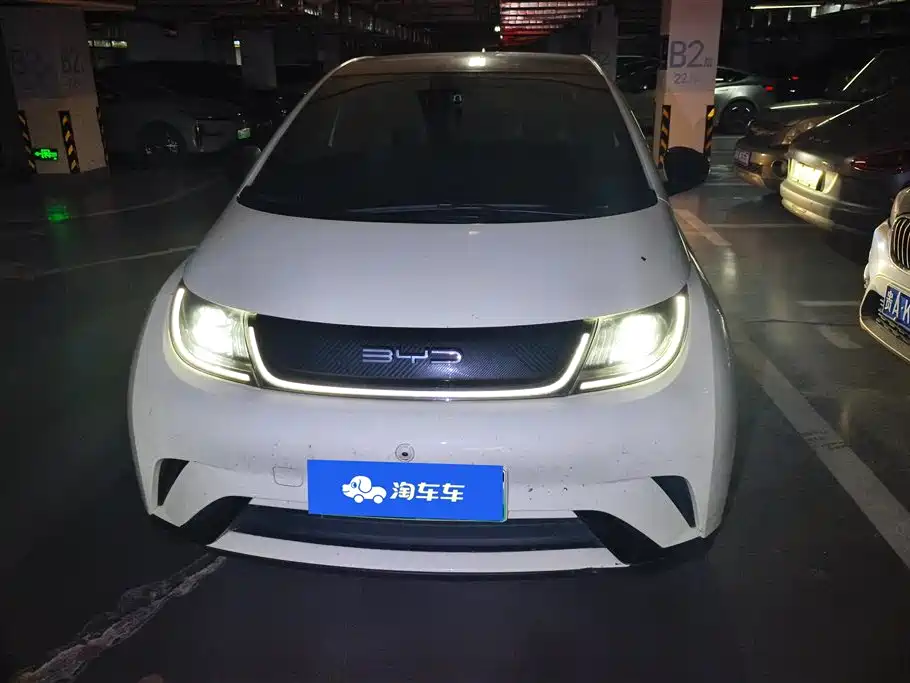BYD Dolphin 2021 Model 405km Fashion Edition фото 2