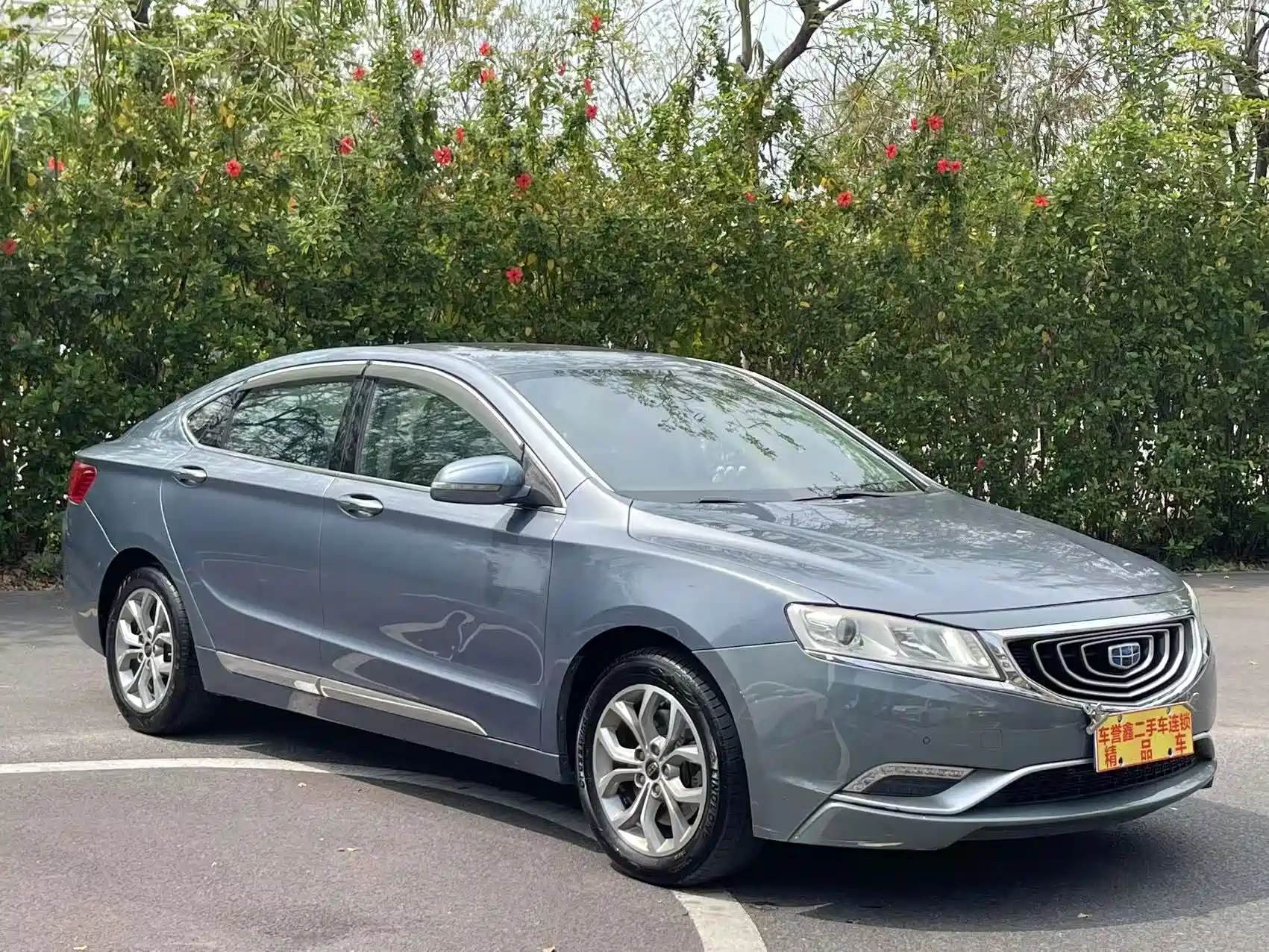 Фото 3 - Geely Borui