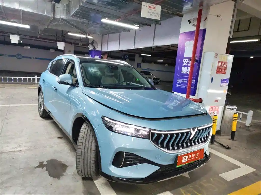 Voyah Auto VOYAH FREE 2021 AWD Standard Range Extender Exclusive Luxury Package фото 2
