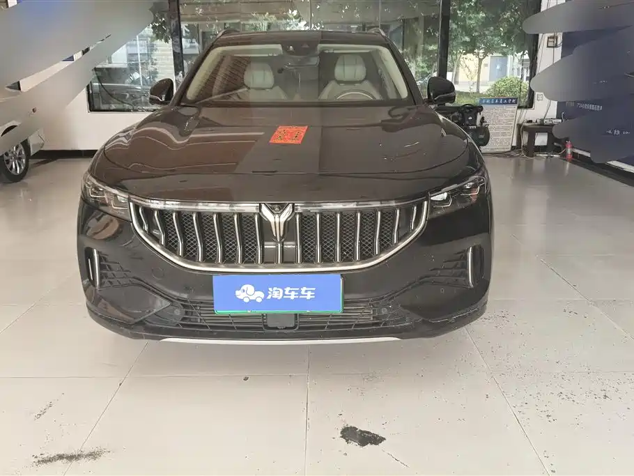 Voyah Auto VOYAH FREE 2021 4WD Extended Range Launch Edition Exclusive Luxury Package фото 2
