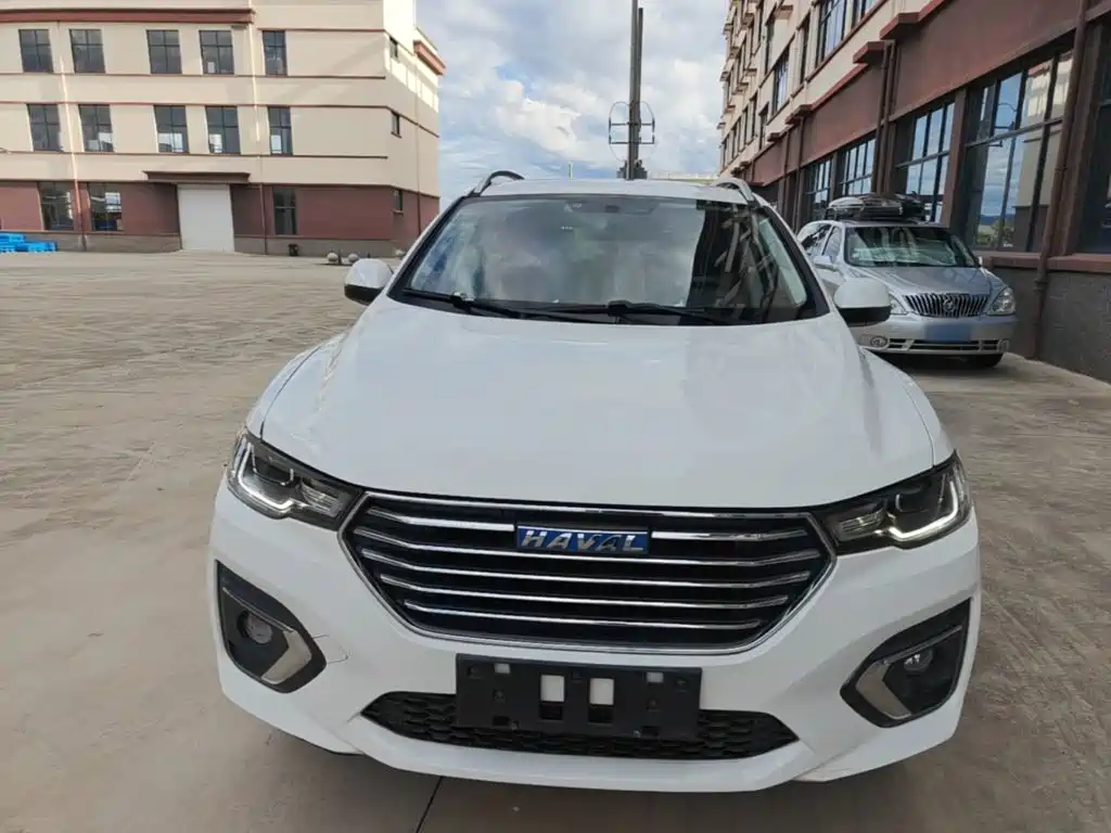 صورة 3 - Haval H2s