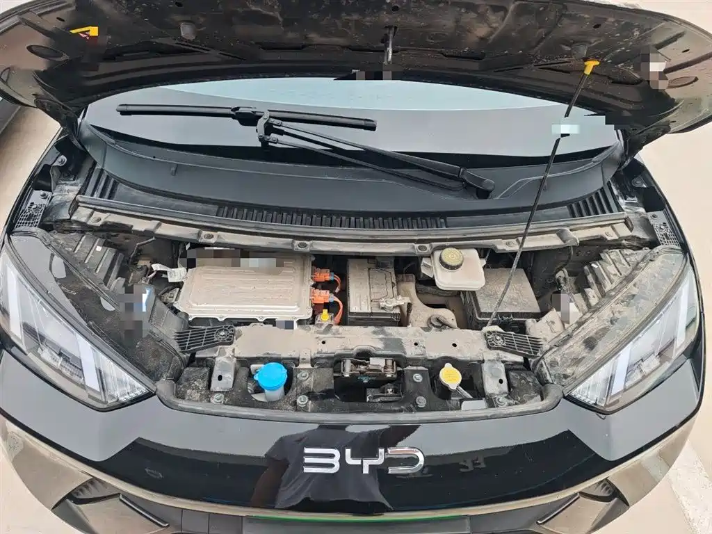 BYD Seagull 2024 Glory Edition 305km Vitality Edition фото 17