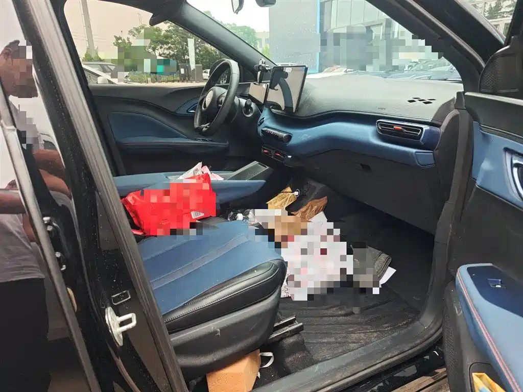 BYD Seagull 2024 Glory Edition 305km Vitality Edition фото 22