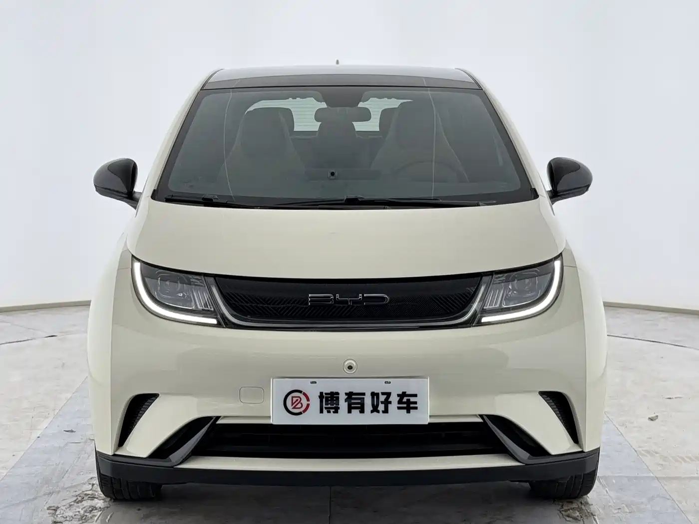 BYD Dolphin 2021 Model 405km Fashion Edition фото 4