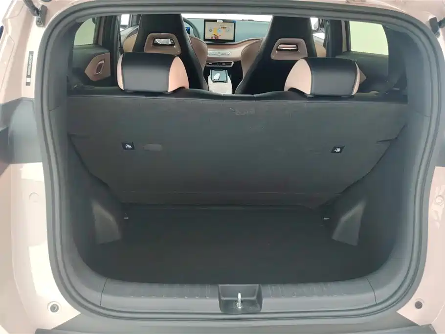 BYD Seagull 2025 Smart Drive Edition 305km Vitality Version фото 4