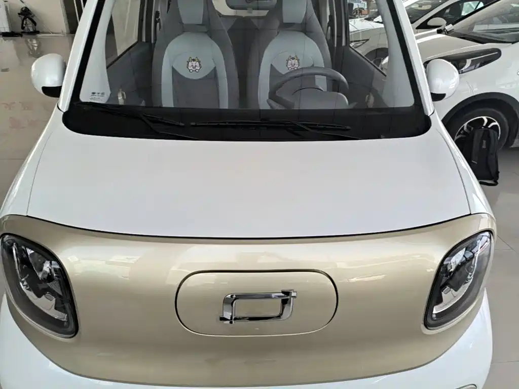 Фото 20 - Besturn Bestune Pony