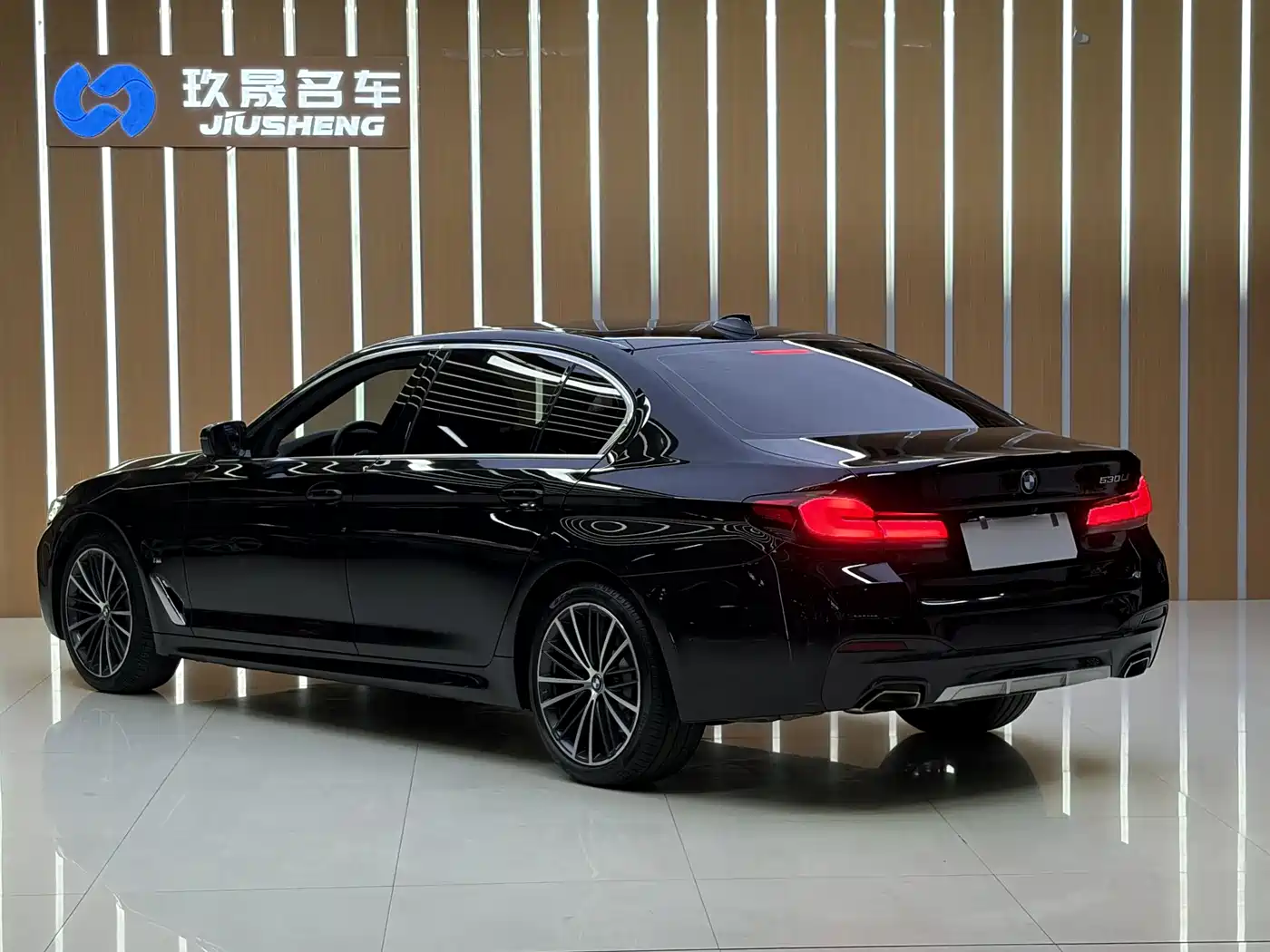 BMW 5 Series 2022 Model Second Facelift 530Li Leading M Sport Package фото 16