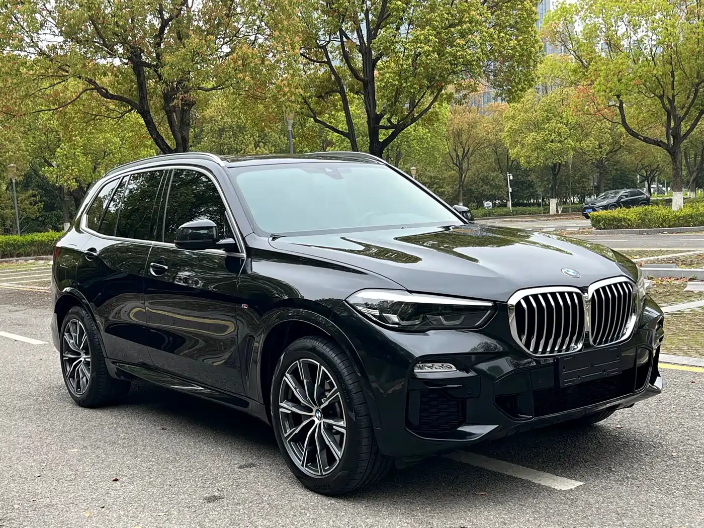 BMW X5 (Import) 2021 Facelift xDrive30i M Sport Package фото 8