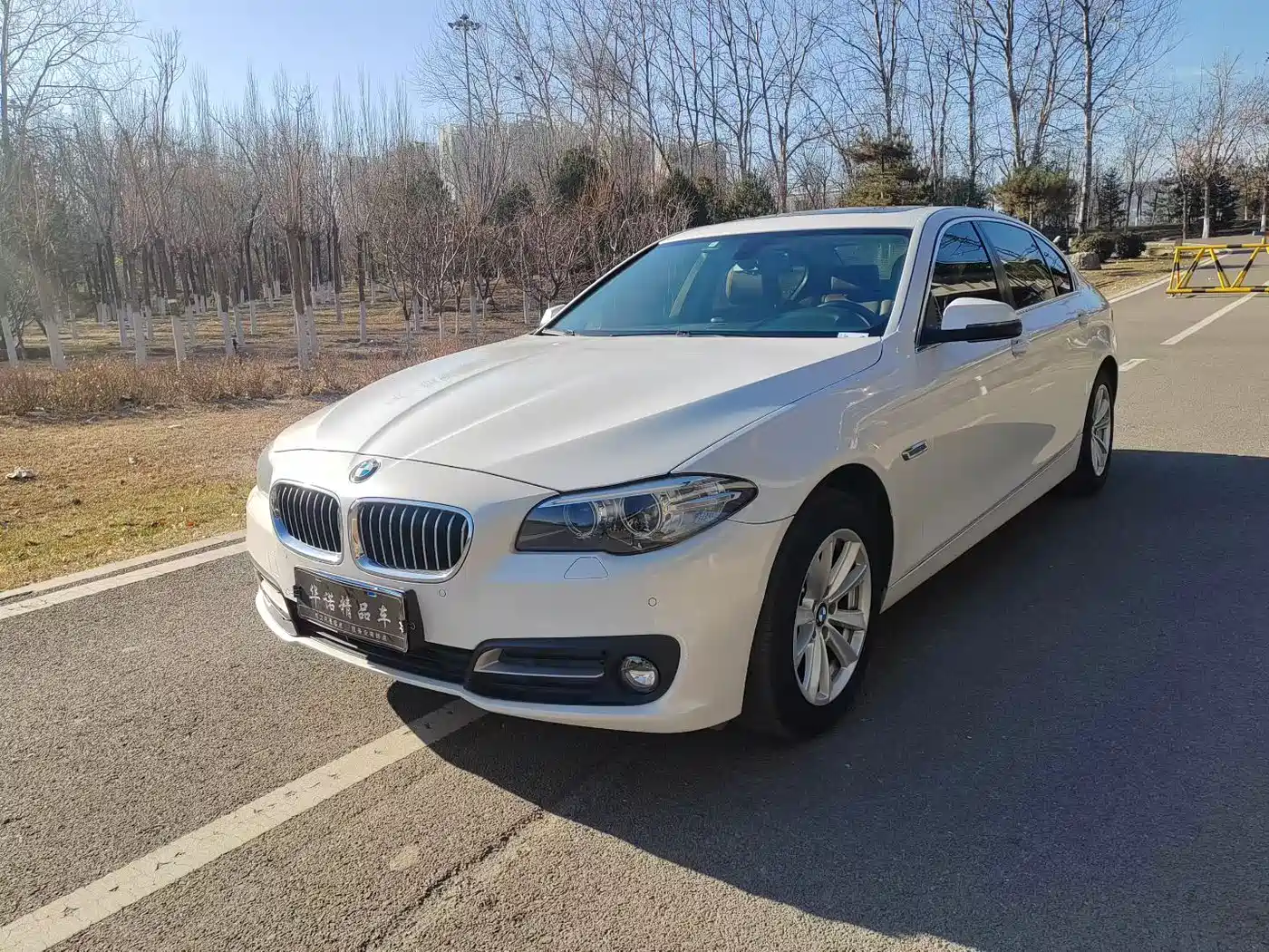 BMW 5 Series 2017 520Li Classic Edition