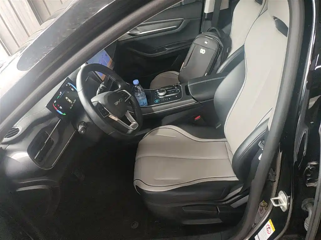 BYD Destroyer 05 2024 Glory Edition DM-i 55KM Luxury фото 15