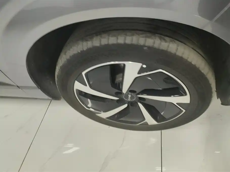 BYD SEA LION 06 NEW ENERGY