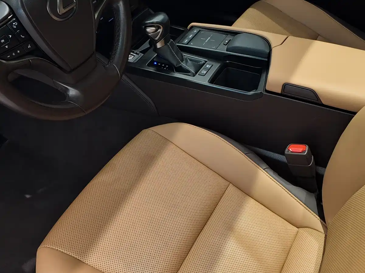 صورة 9 - Lexus ES