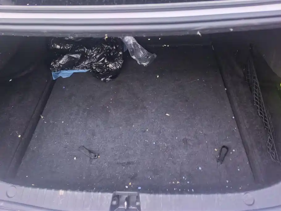 BYD Han 2020 EV Extended Range Premium фото 4