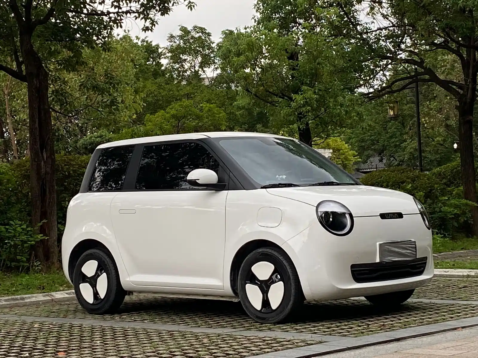 Photo 3 - Changan Lumin