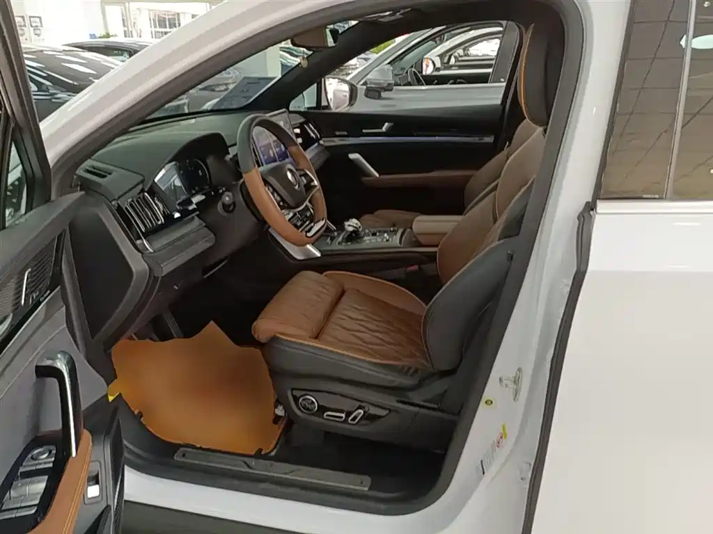 BYD Tang New Energy 2021 DM-i 112KM Honor фото 15