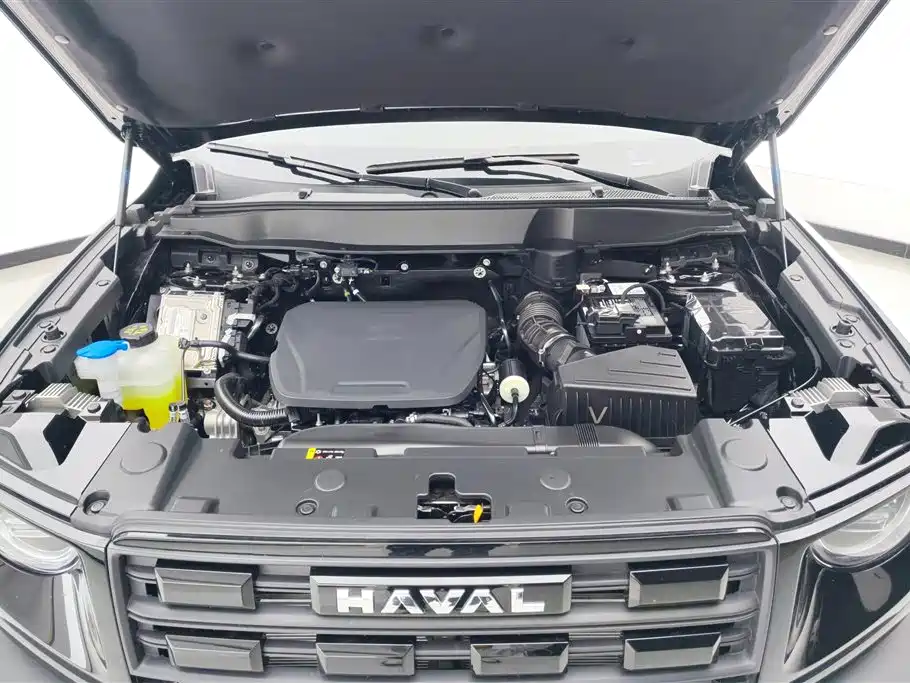 HAVAL BIG DOG