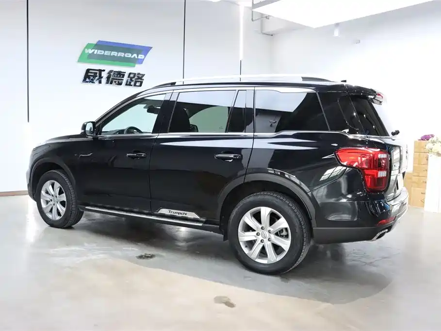 GAC Trumpchi Trumpchi GS8 2017 320T 2WD Luxury Edition (7-Seater) фото 6