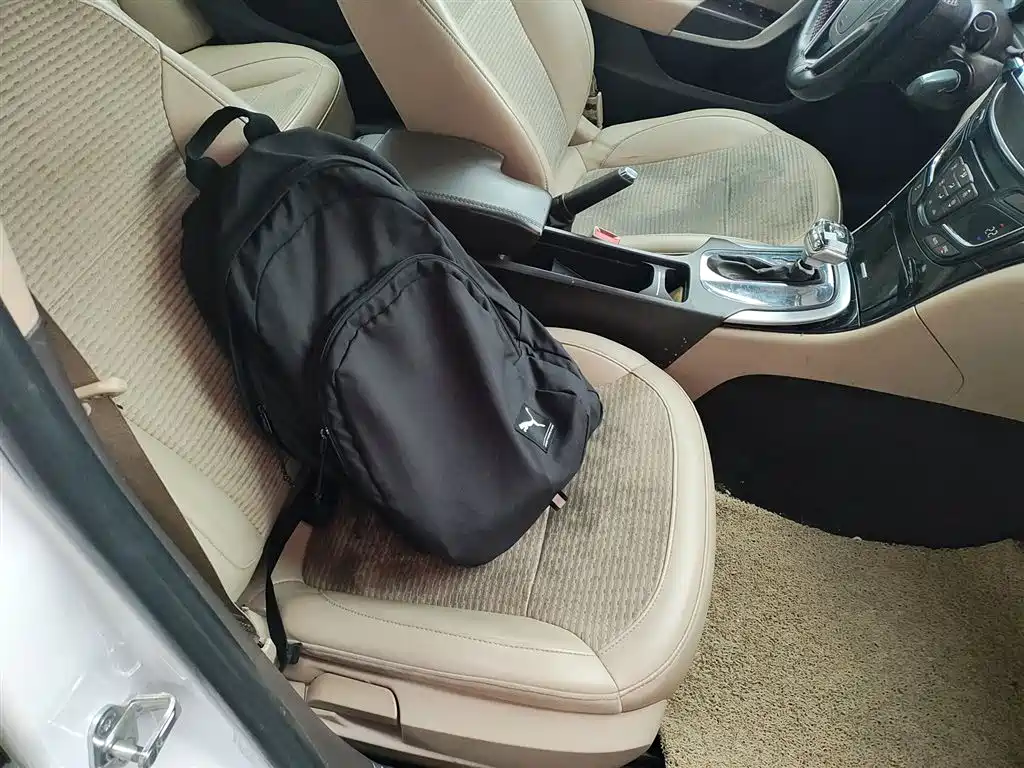 Buick Regal 2014 2.0L Leading Fashion Type фото 20