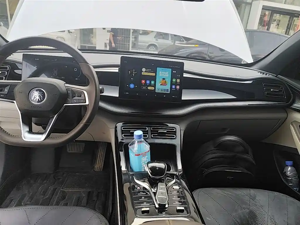 BYD Qin PLUS 2024 Glory Edition DM-i 55KM Leading фото 13