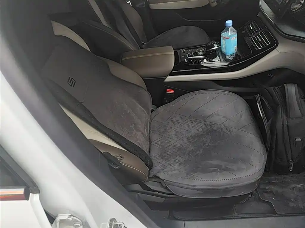 BYD Qin PLUS 2024 Glory Edition DM-i 55KM Leading фото 25