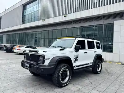 Tank 300