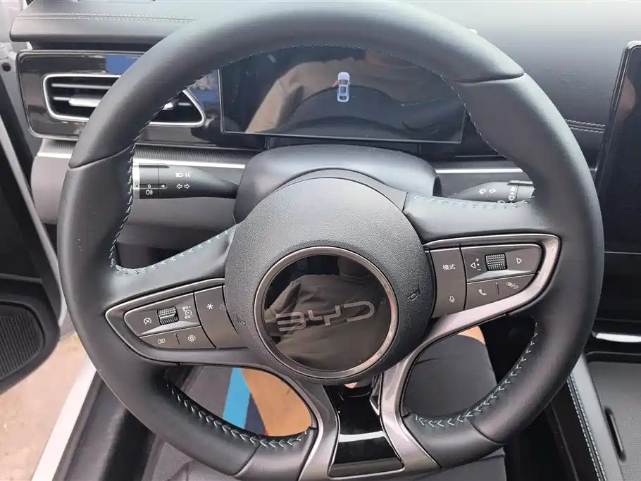 BYD Seal 06 New Energy 2024 DM-i 80KM Prestige фото 15