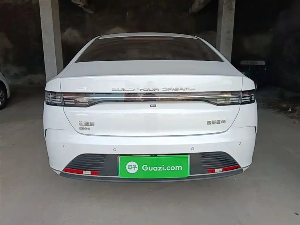 BYD Destroyer 05 2024 Glory Edition DM-i 55KM Luxury фото 6