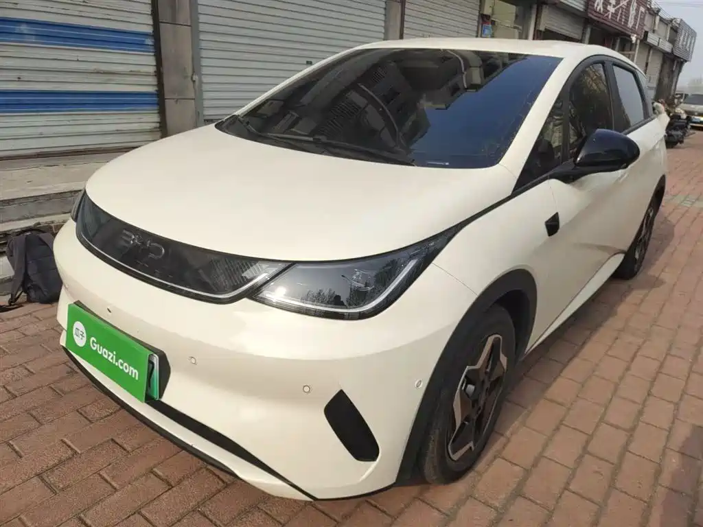 BYD Dolphin 2025 Smart Drive Edition 420km Freedom Version