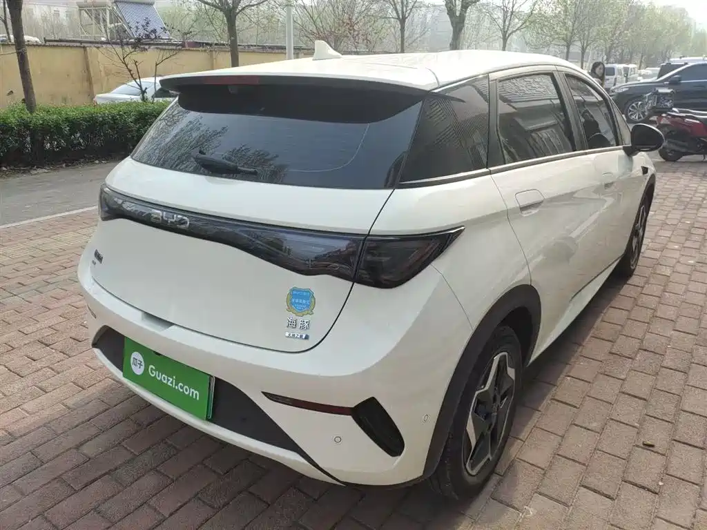BYD Dolphin 2025 Smart Drive Edition 420km Freedom Version фото 7