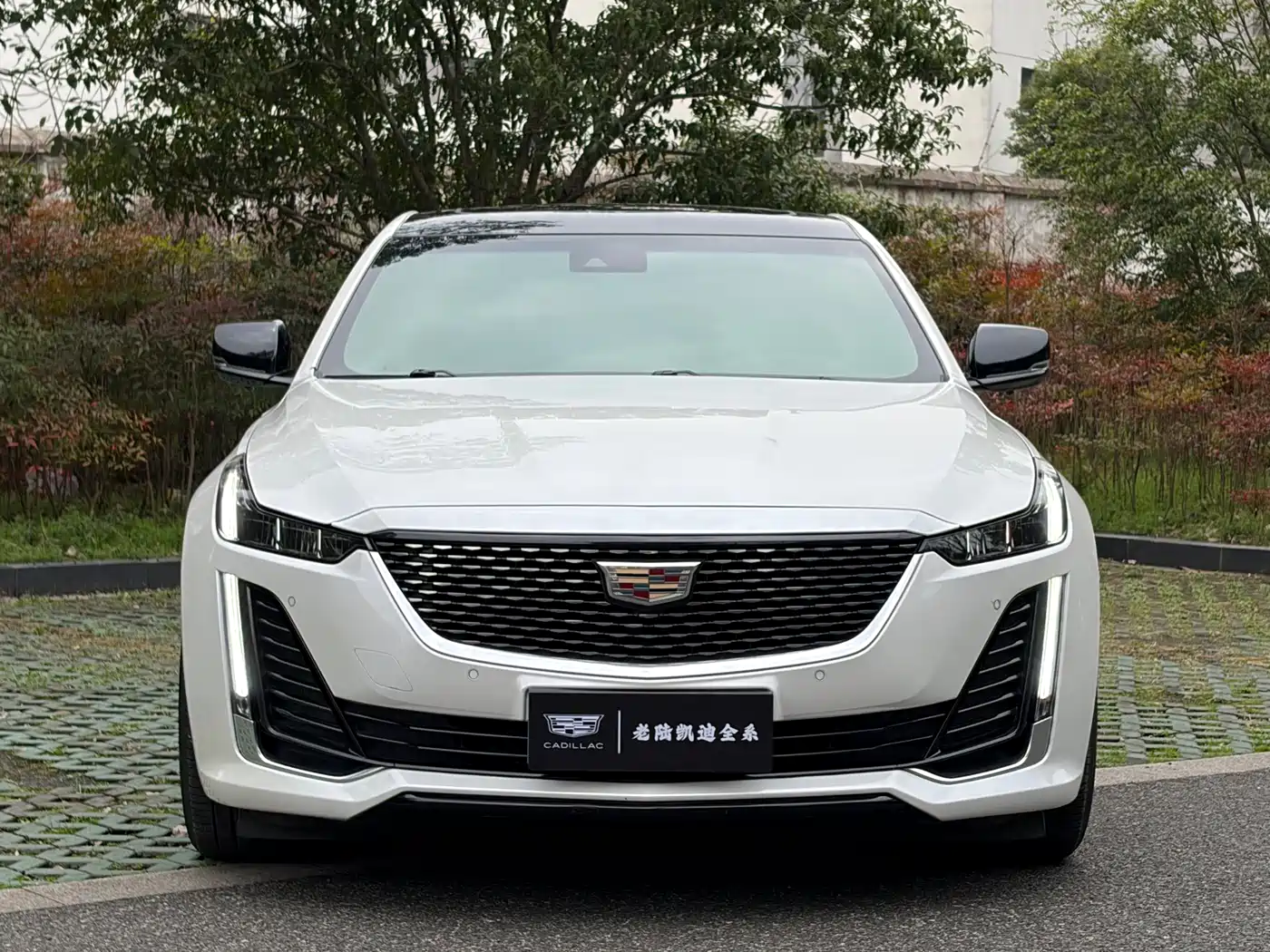 Cadillac CT5 2023 28T Luxury Style (Standard Edition) фото 2