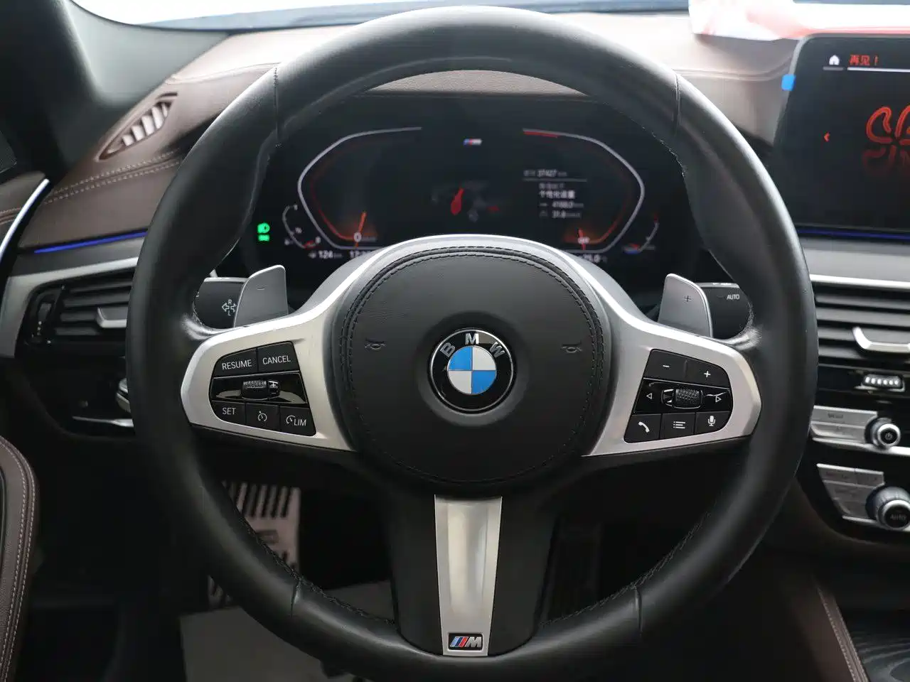 BMW 5 Series 2021 530Li Leading M Sport Package фото 11