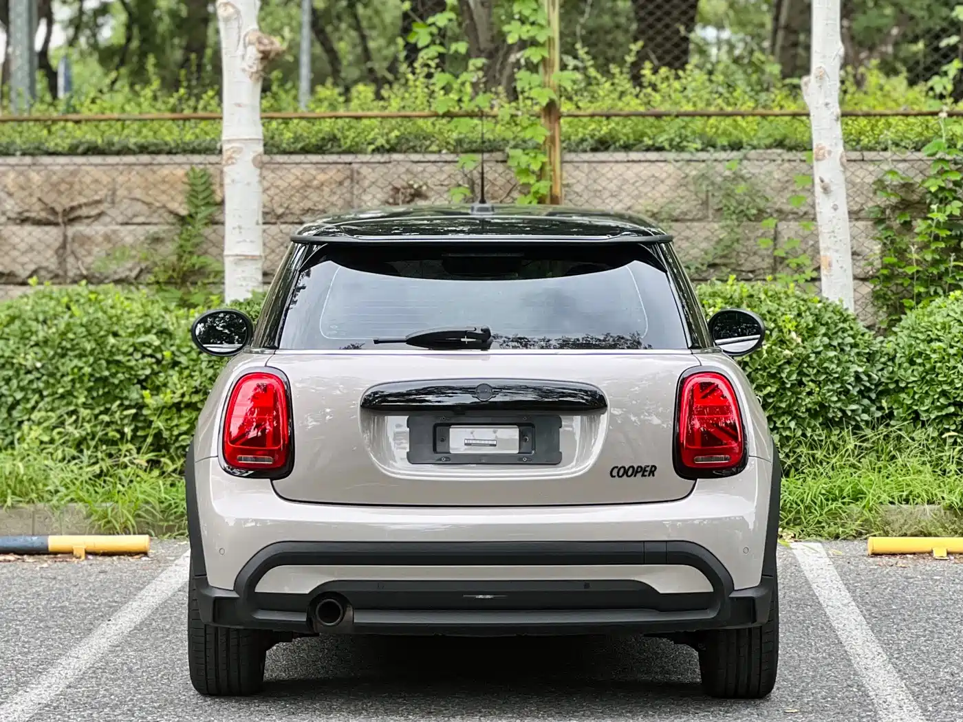 MINI MINI 2023 2023 1.5T COOPER Artist