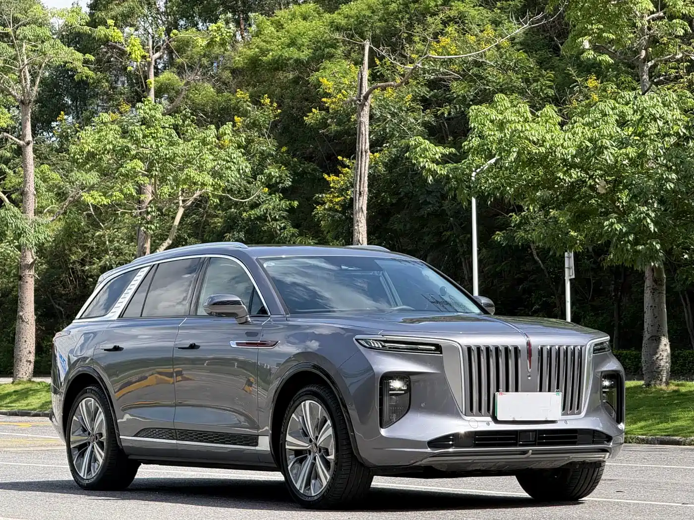 Hongqi E-HS9 2024 Model 660km Flag Smooth Edition 6-seater