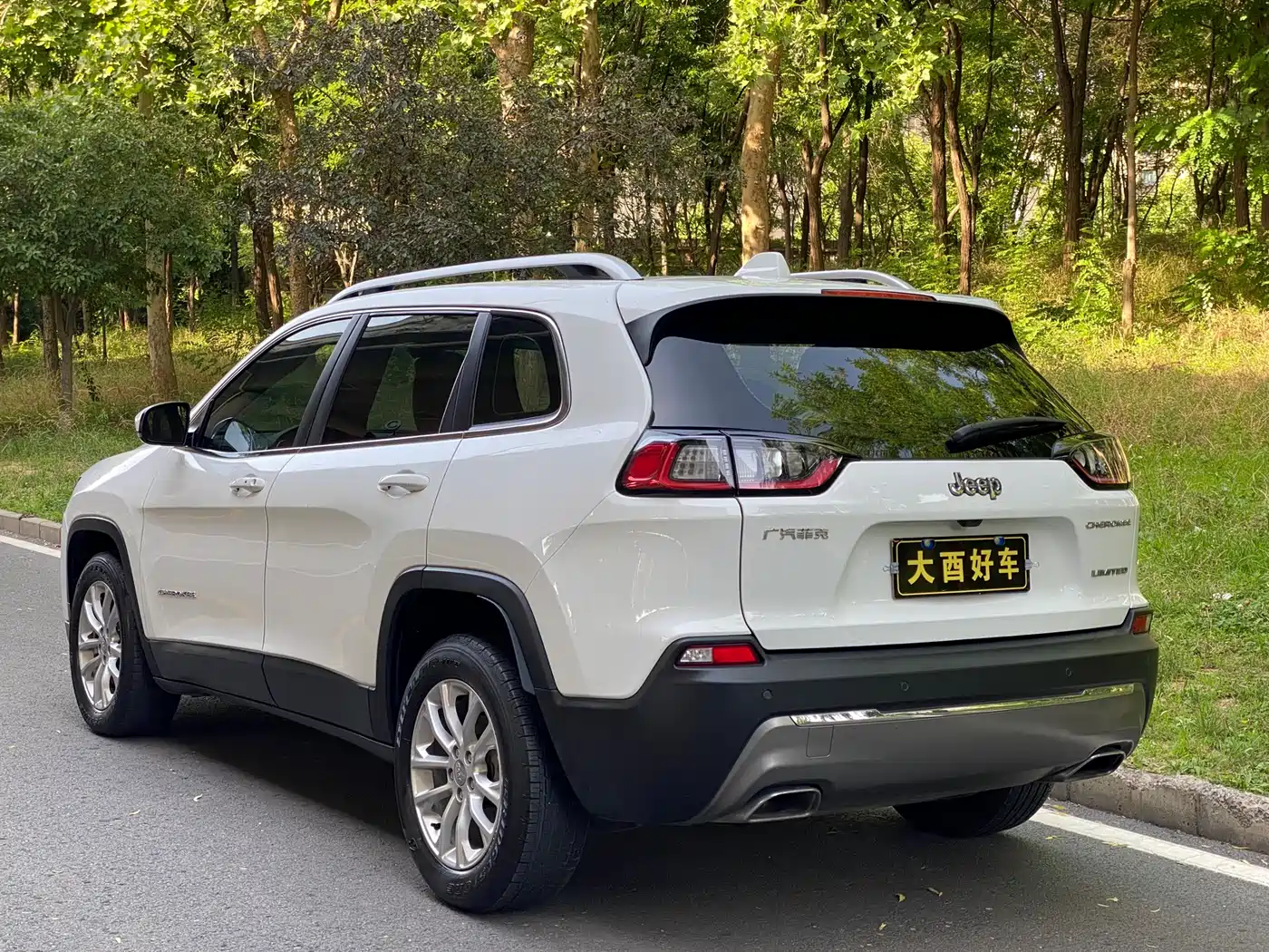 Jeep Cherokee 2019 2019 2.0T 2WD Smart Edition China V