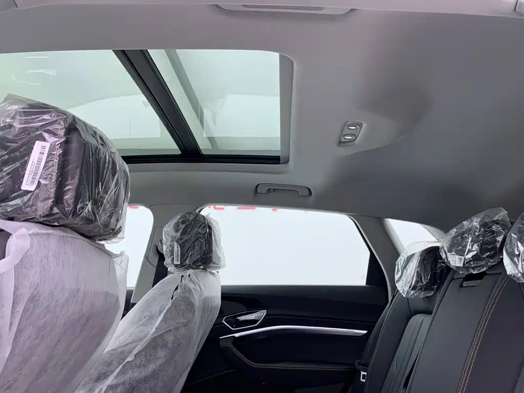 Audi e-tron 2026 2021 50 quattro Luxury